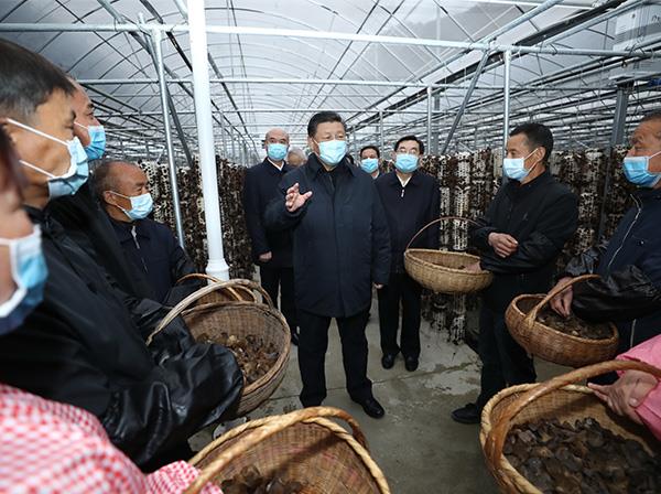 习近平总书记考察中国中铁援建的金米村智能连栋木耳大棚